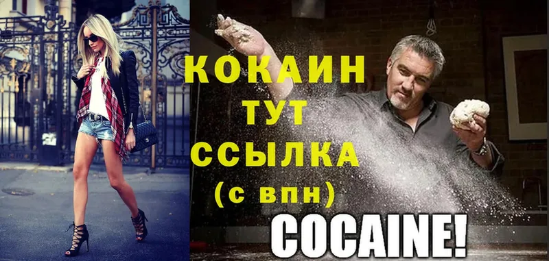 где можно купить   Белореченск  COCAIN VHQ 